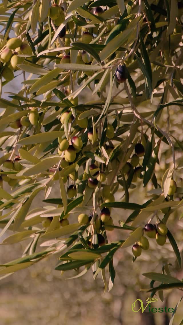 Portfolio Collage 2 Part 2