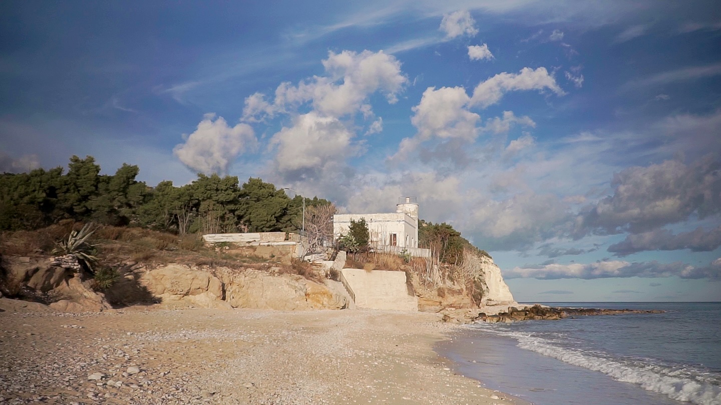 Portfolio Collage 3 Part 2